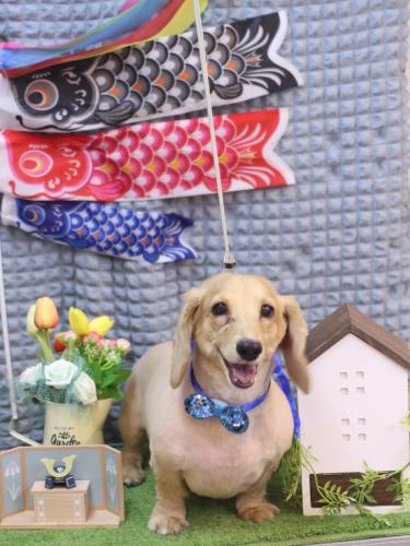 20230516モモちゃん